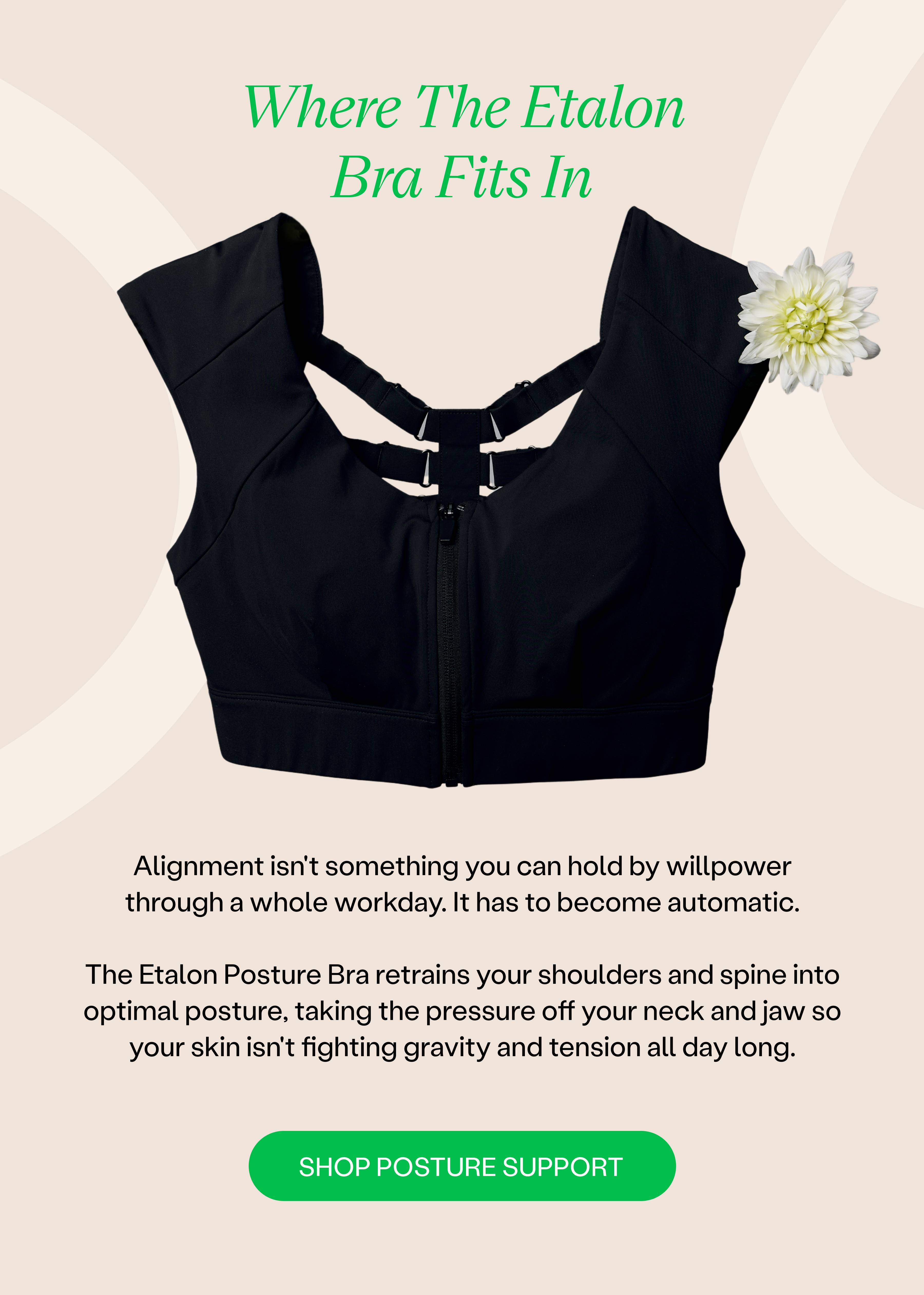 Shop Posture Support >