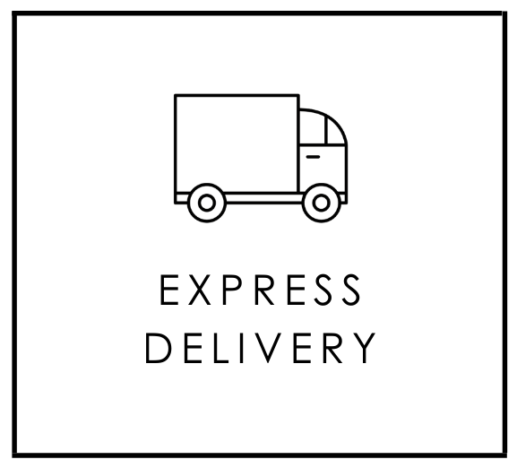 -@e- EXPRESS DELIVERY 