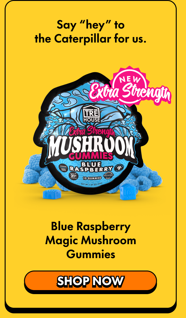 Blue Raspberry Magic Mushroom Gummies