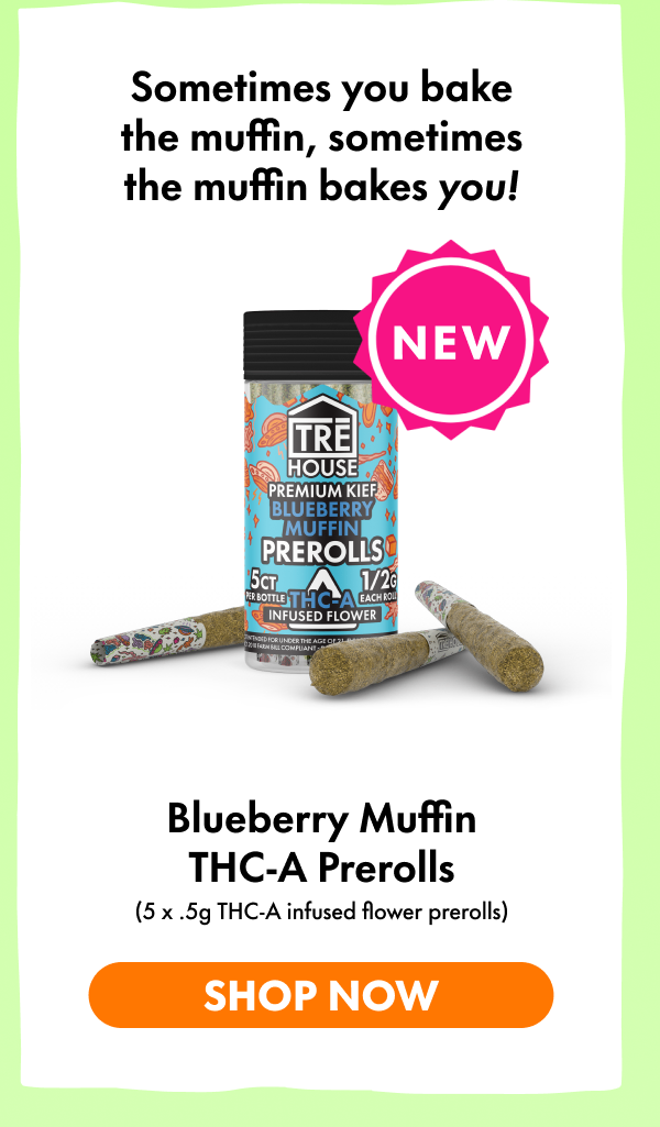 THCA Prerolls - Blueberry