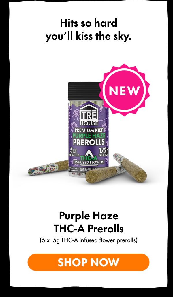 THCA Prerolls - Purple Haze
