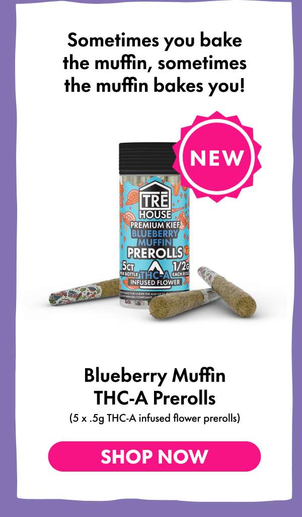 THCA Prerolls - Blueberry Muffin