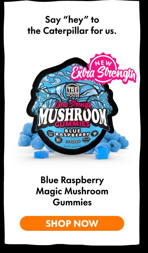 Blue Raspberry Magic Mushroom Gummies
