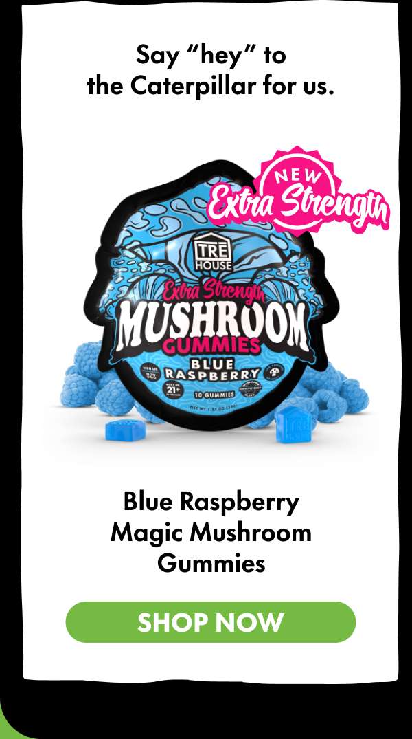 Blue Raspberry Magic Mushroom Gummies