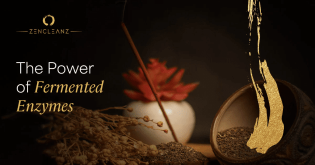 The power of fermented enzymes