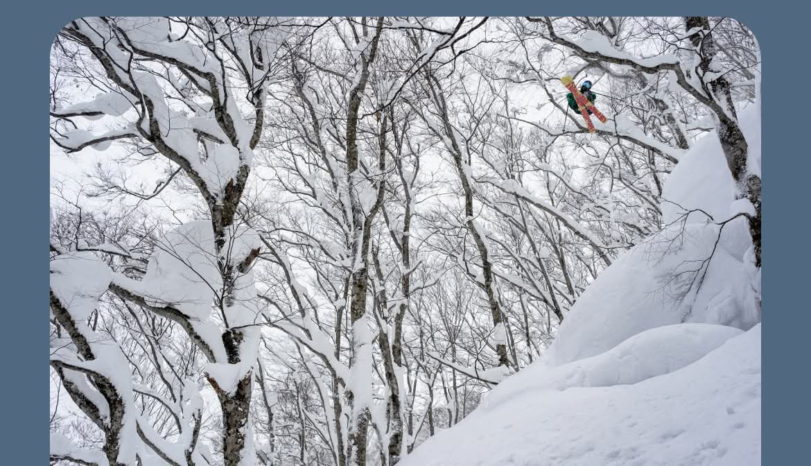 A skier catches air between trees on a powder day.