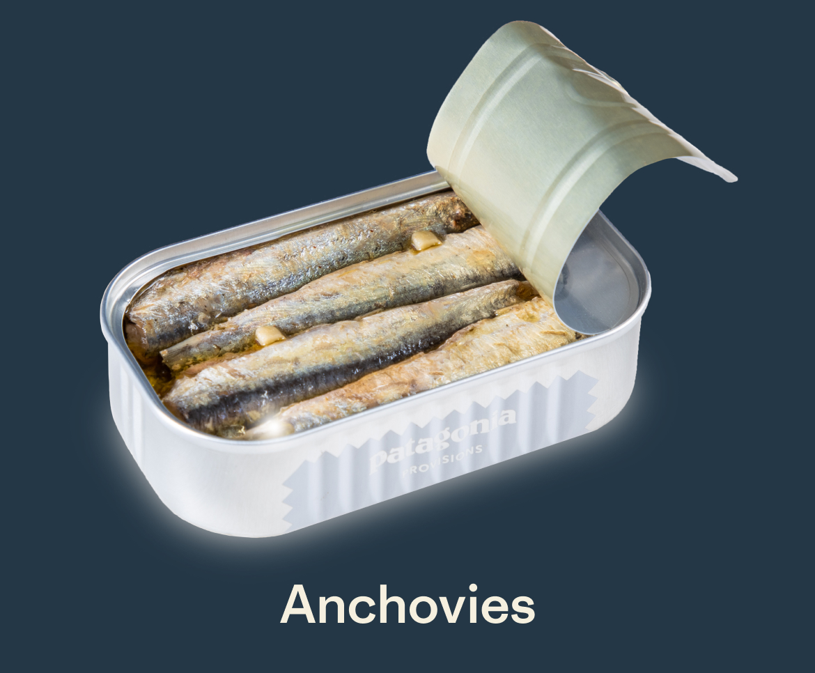 Anchovies
