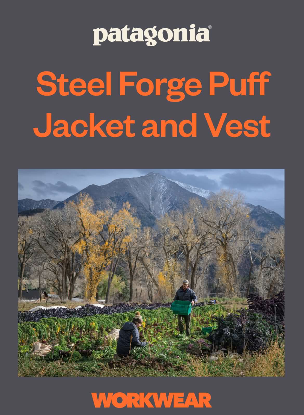 Patagonia Workwear. Two people harvest crops on a cold autumn day.