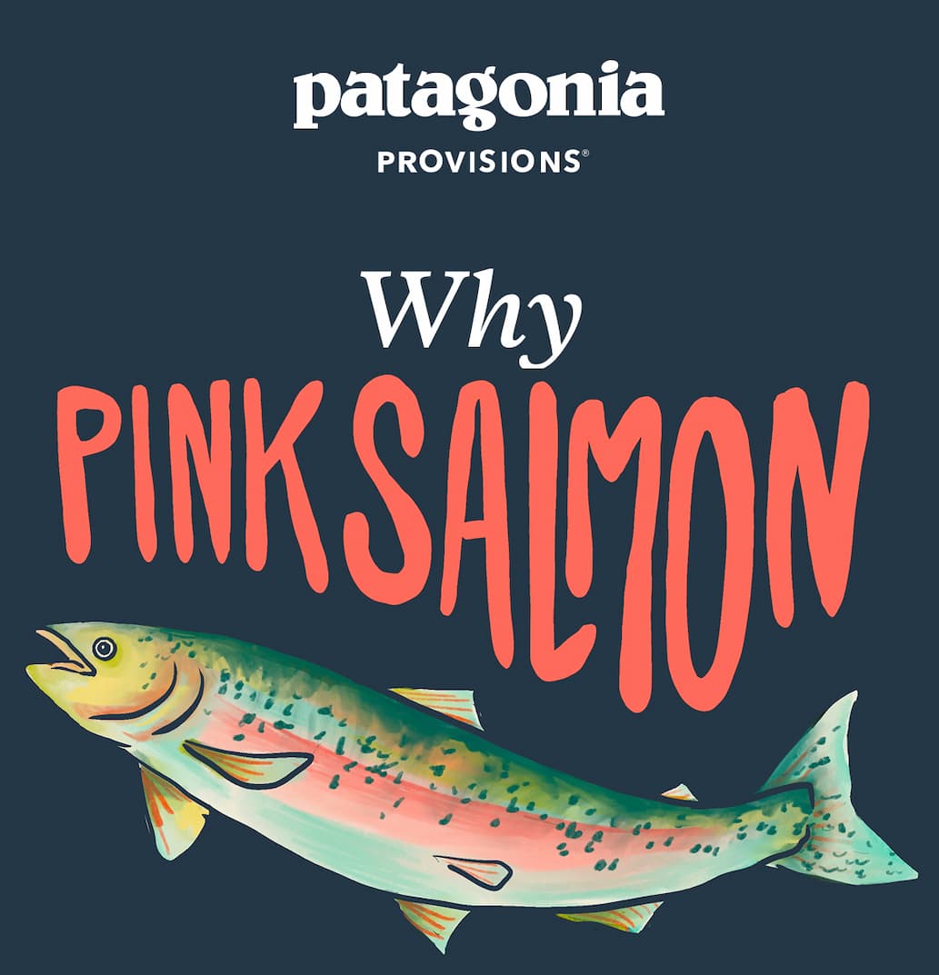 Patagonia Provisions Why Pink Salmon?