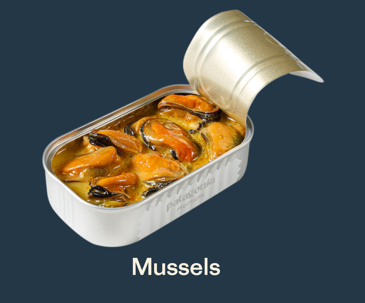 Mussels