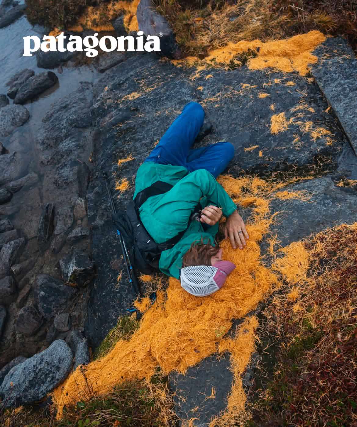 A trail runner lies down on a bed of golden larch needles. 