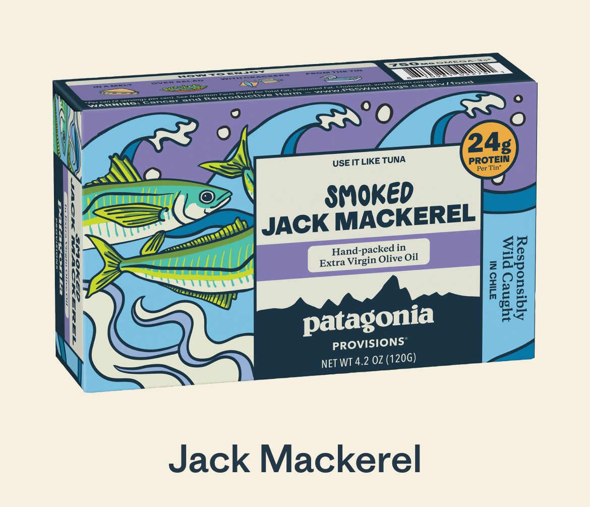 Jack Mackerel