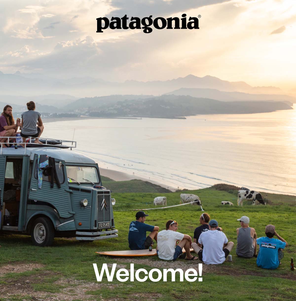 Welcome!