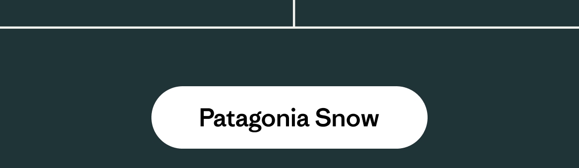 Patagonia Snow