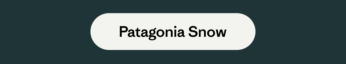 Patagonia snow