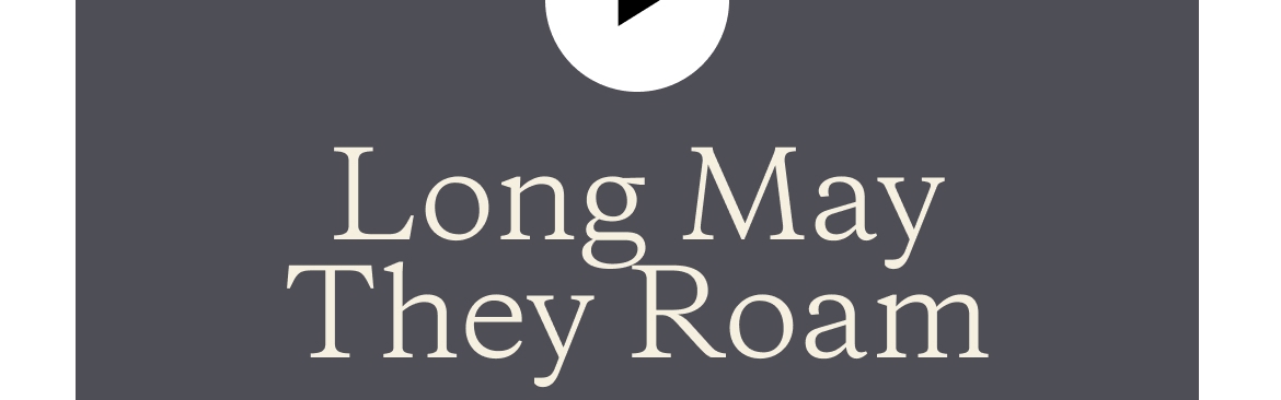 Long May They Roam