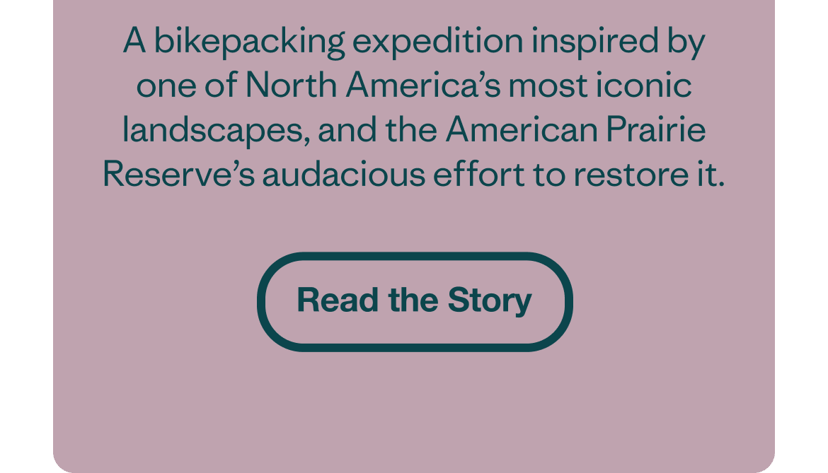 Read the Story
