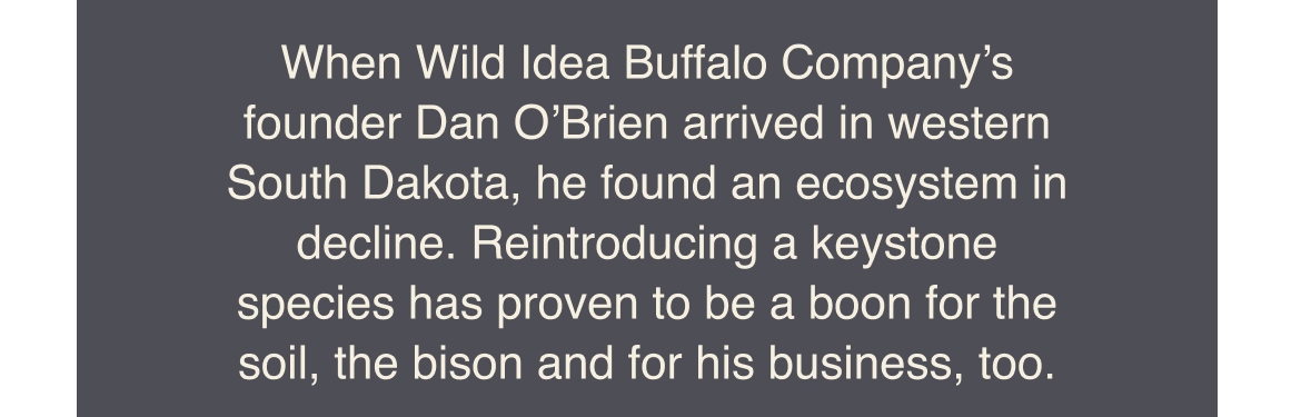 When Wild Idea Buffalo Company's founder Dan O'Brien arrived in western South Dakota, he found an ecosystem in decline. Reintroducing a keystone species has proven to be a boon for the soil, the bison and for his business, too.