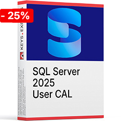 Microsoft SQL 2025 User CAL Key (1)
