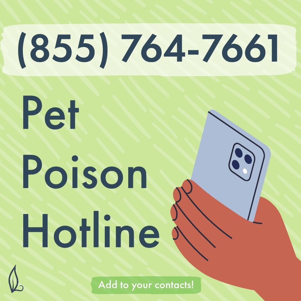 2. Pet Poison Hotline