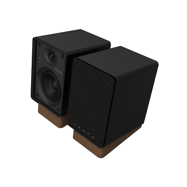 GX-10DB black Powered Monitors on white background