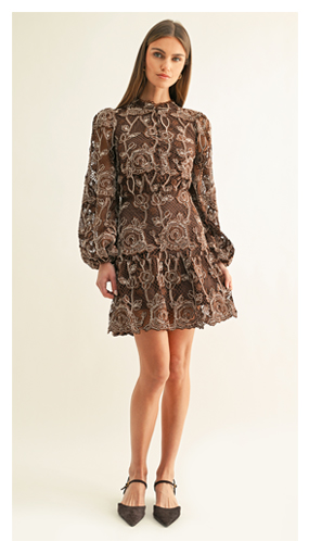 Makai Long Sleeve Lace Mini Dress