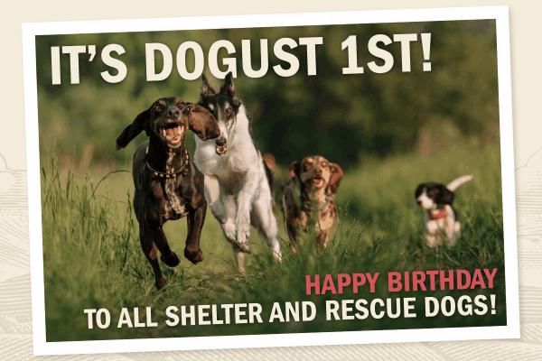 "It's DOGust 1st! Happy birthday to all shelter and rescue dogs!" with a photo of a couple of dogs running through a field