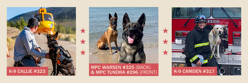 Project K-9 Hero Pets of the Month