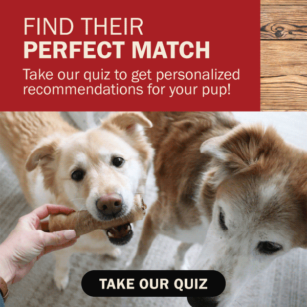 "Find Their Perfect Match Take our quiz to get personalized recommendations for your pup!" with 4 photos of dogs 