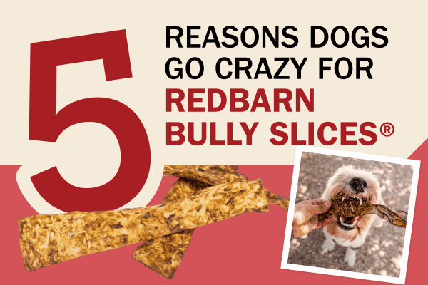 "5 Reasons Dogs Go Crazy for Redbarn Bully Slices"