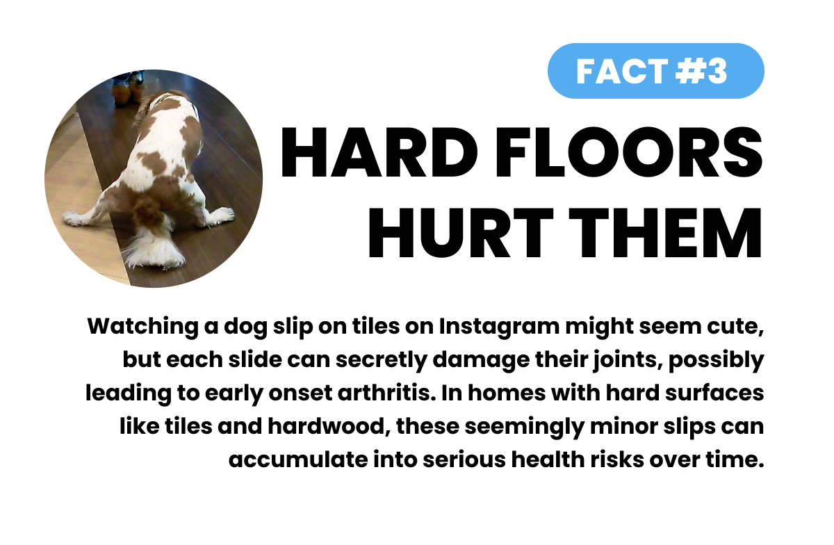 FACT #3: HARD FLOORS HURT THEM. Watching a dog slip on tiles on Instagram might seem cute, but each slide can secretly damage their joints, possibly leading to early onset arthritis. In homes with hard surfaces like tiles and hardwood, these seemingly minor slips can accumulate into serious health risks over time.