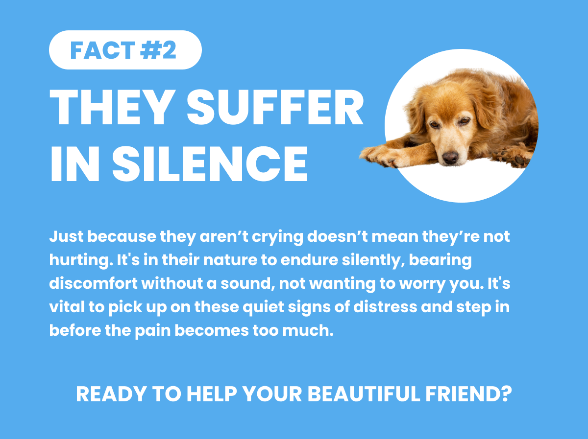 FACT #2: THEY SUFFER IN SILENCE. Just because they aren’t crying doesn’t mean they’re not hurting. It's in their nature to endure silently, bearing discomfort without a sound, not wanting to worry you. It's vital to pick up on these quiet signs of distress and step in before the pain becomes too much. READY TO HELP YOUR BEAUTIFUL FRIEND? SHOP NOW