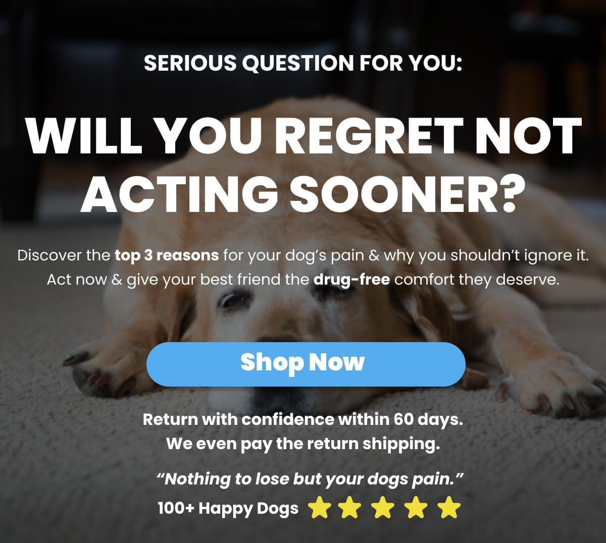 SERIOUS QUESTION FOR YOU: WILL YOU REGRET NOT ACTING SOONER? Discover the top 3 reasons for your dogs pain & why you shouldn't ignore it. Act now & give your best friend the drug-free comfort they deserve. SHOP NOW – $300 OFF. Return With Confidence Within 60 Days. 'Nothing to lose but your dogs pain.' 100+ Happy Dogs. 5 star rating. We even pay the r