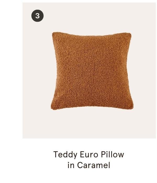 Teddy Euro Pillow