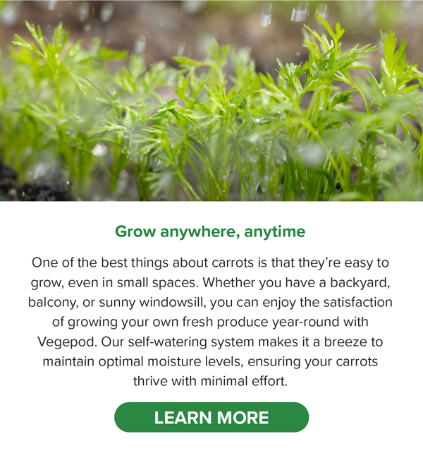 🥕 Celebrate International Carrot Day with Vegepod Grow Your Own and Dig In! Vegepod