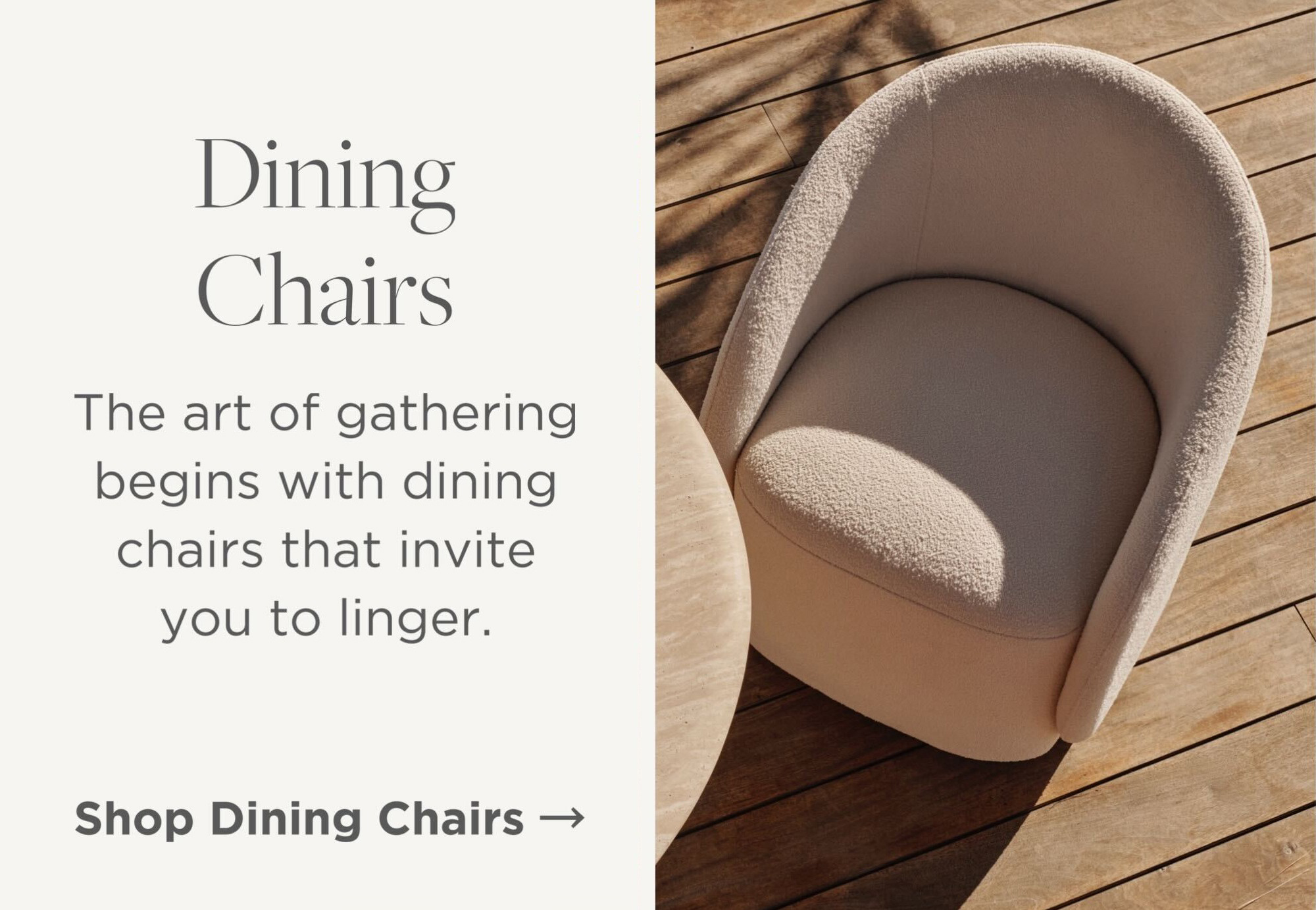Shop Dining Chairs