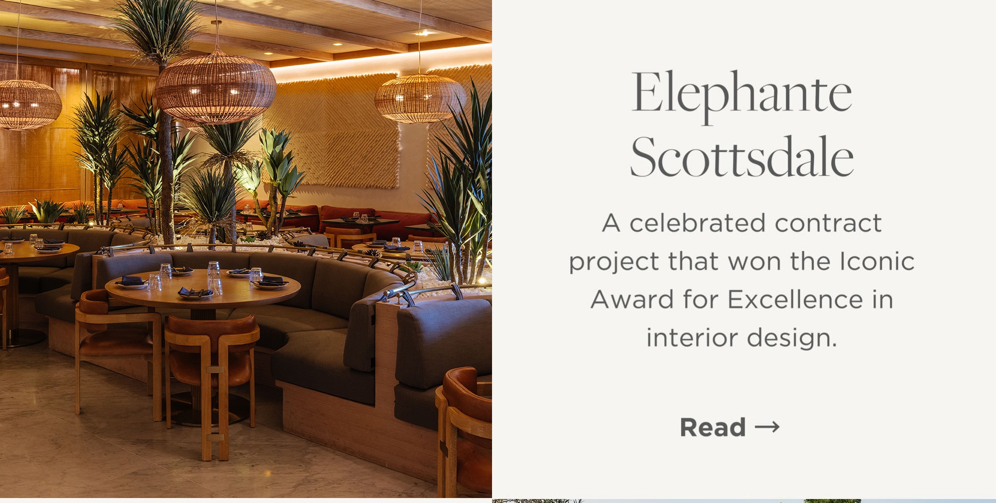 Elephante Scottsdale: Award-Winning Desert Design