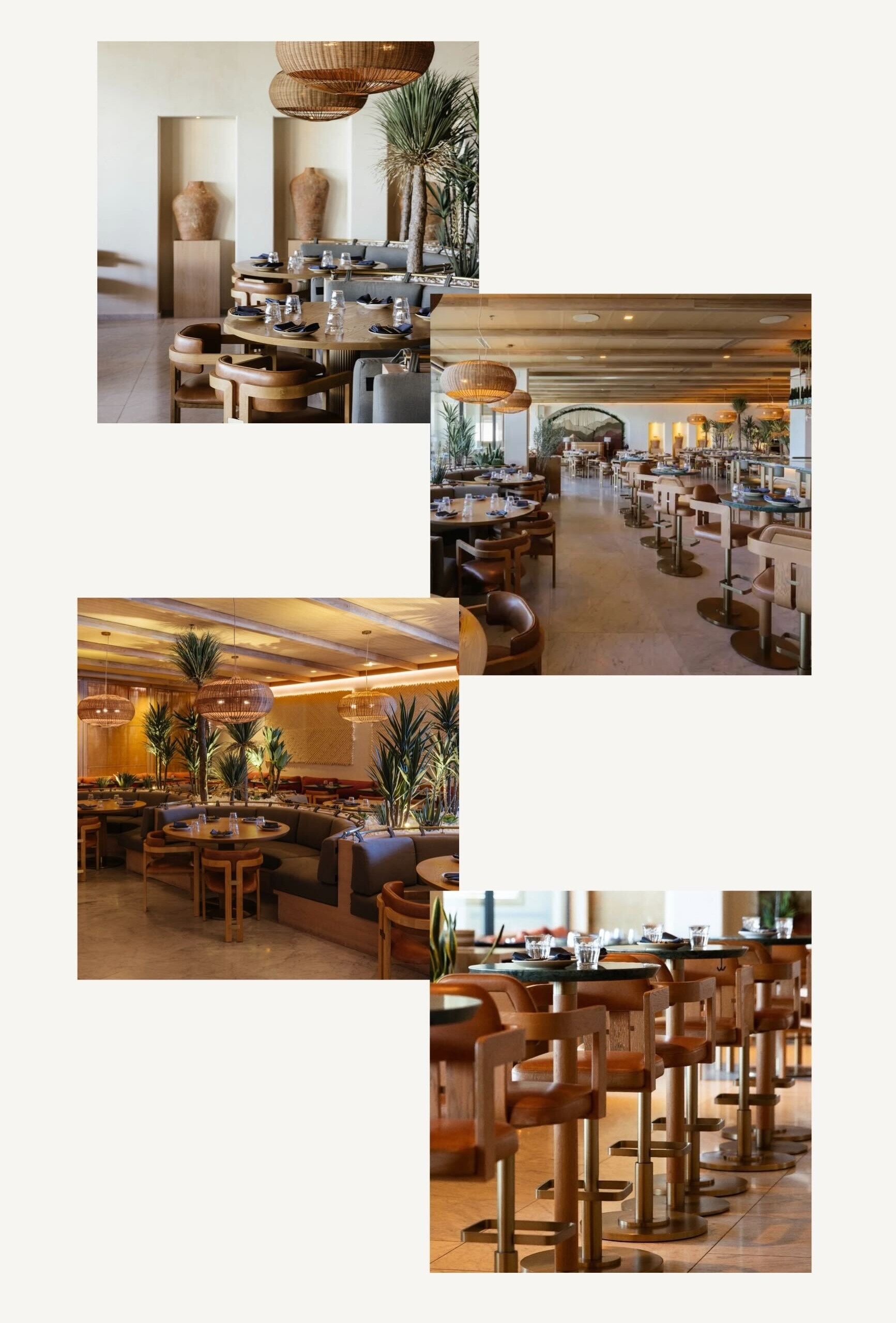 Élephante Scottsdale