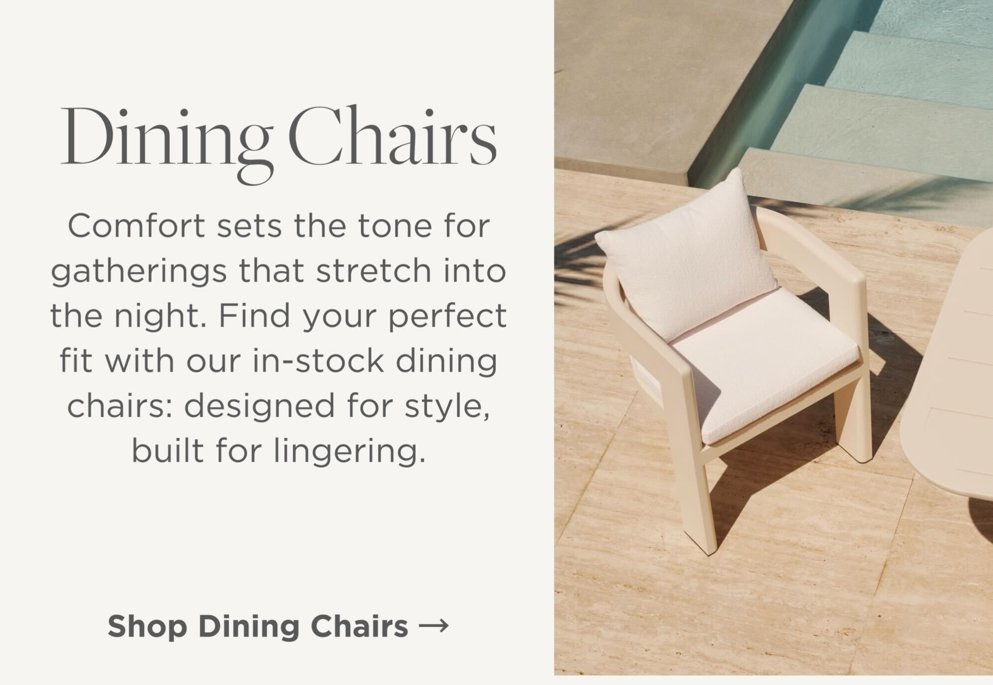 Shop Dining Chairs