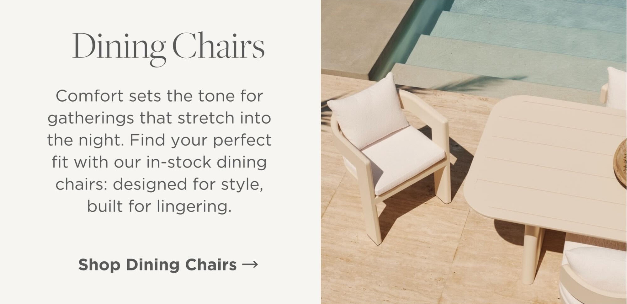 Shop Dining Chairs