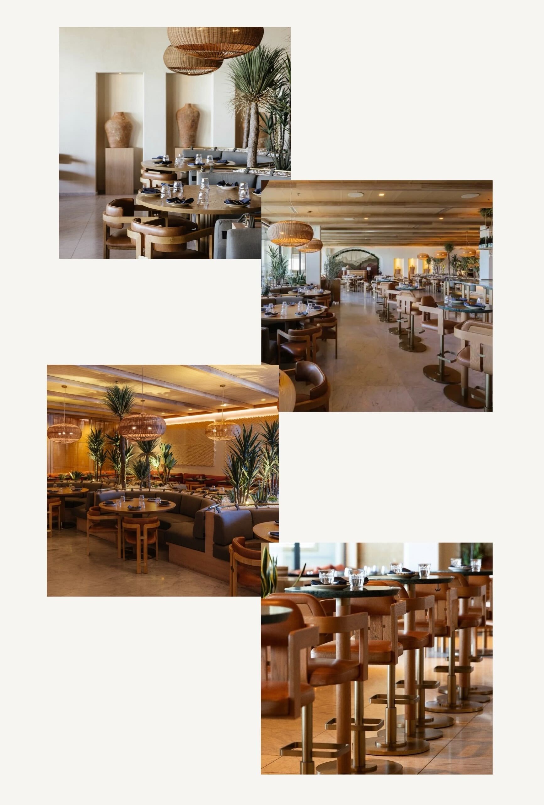 Élephante Scottsdale | Award Winning Design