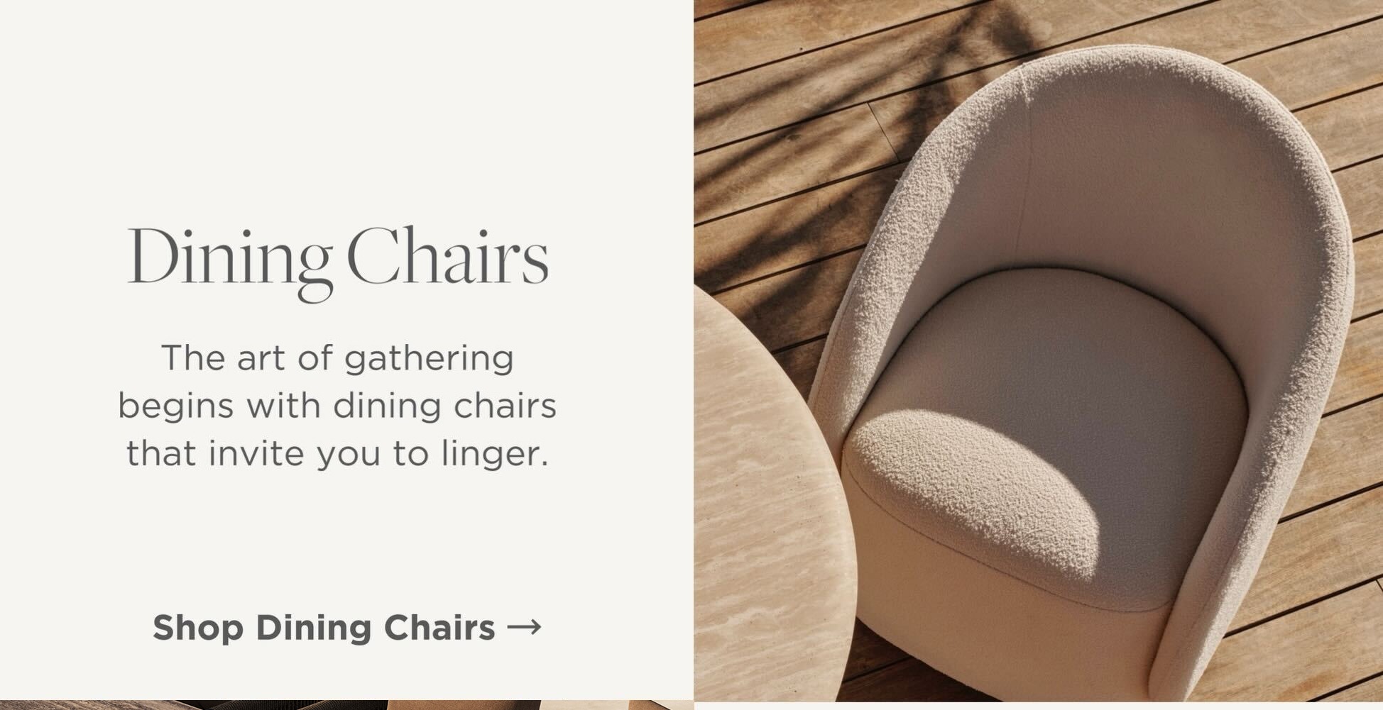 Shop Dining Chairs