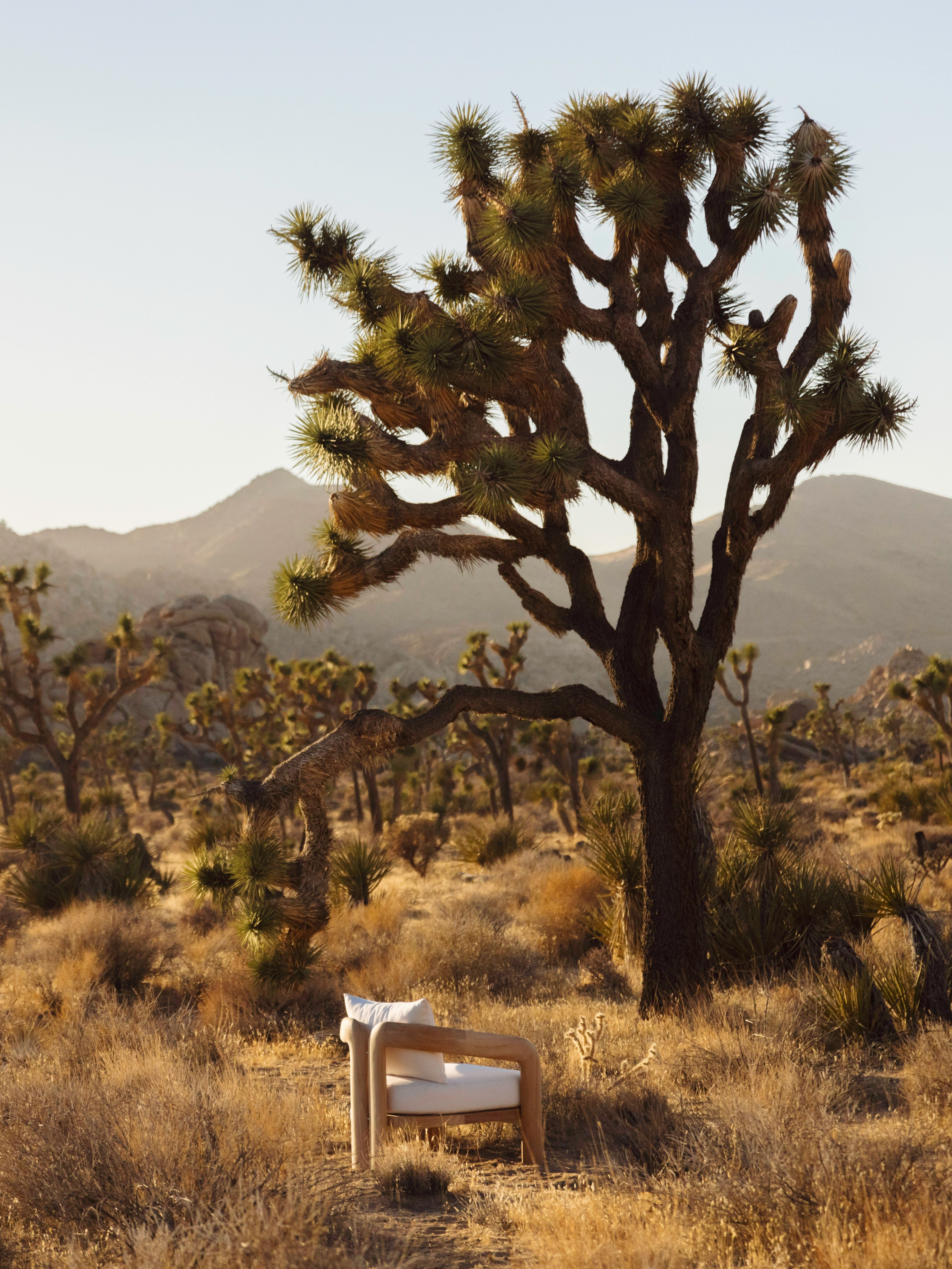 A Year of Thoughtful Design