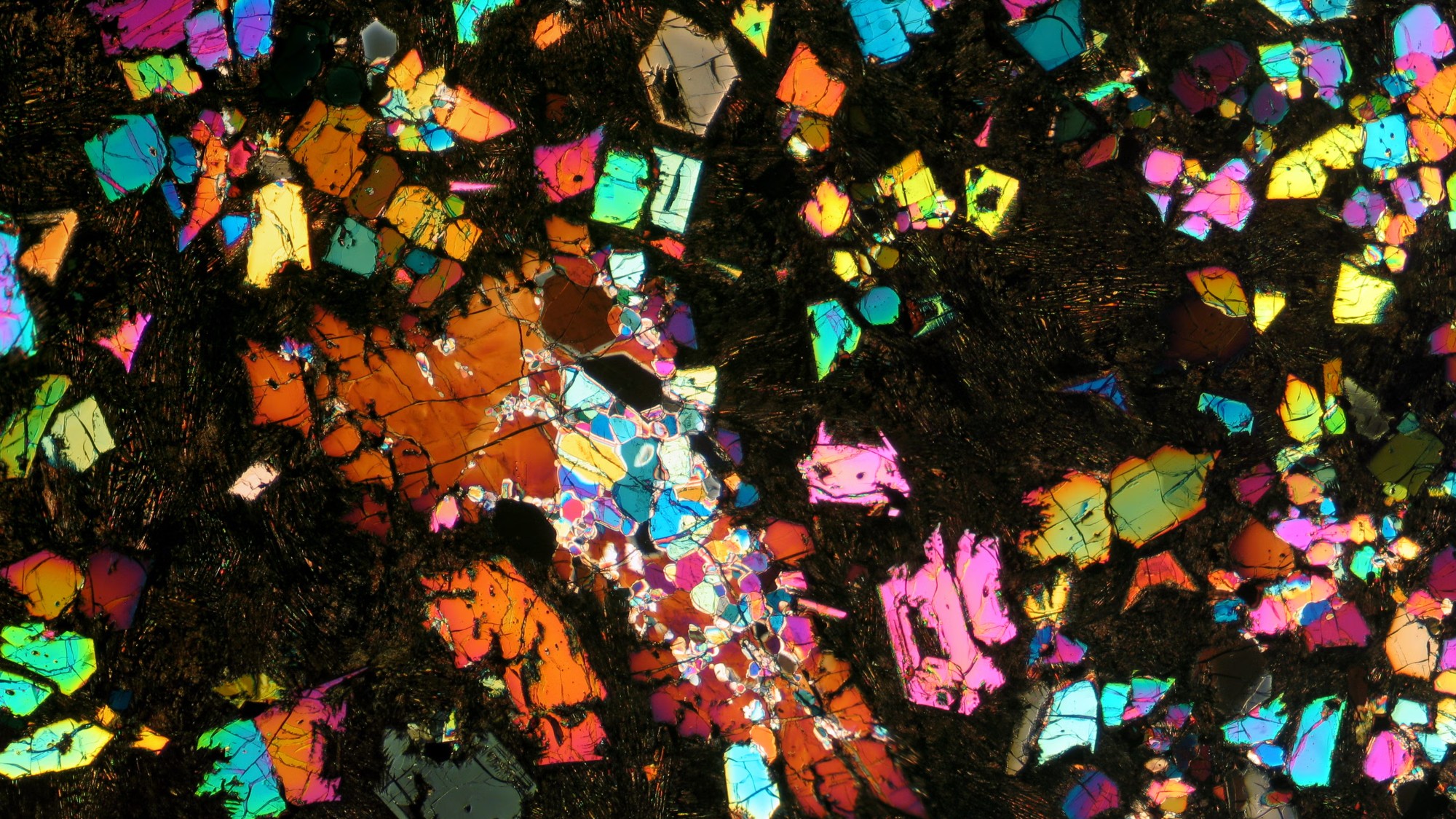 A slice of the NWA 12774 meteorite under polarized light
