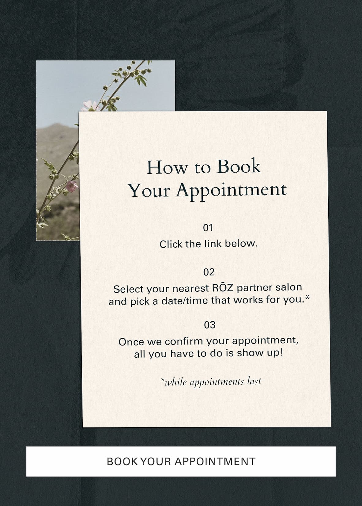 Book a blowout appointment