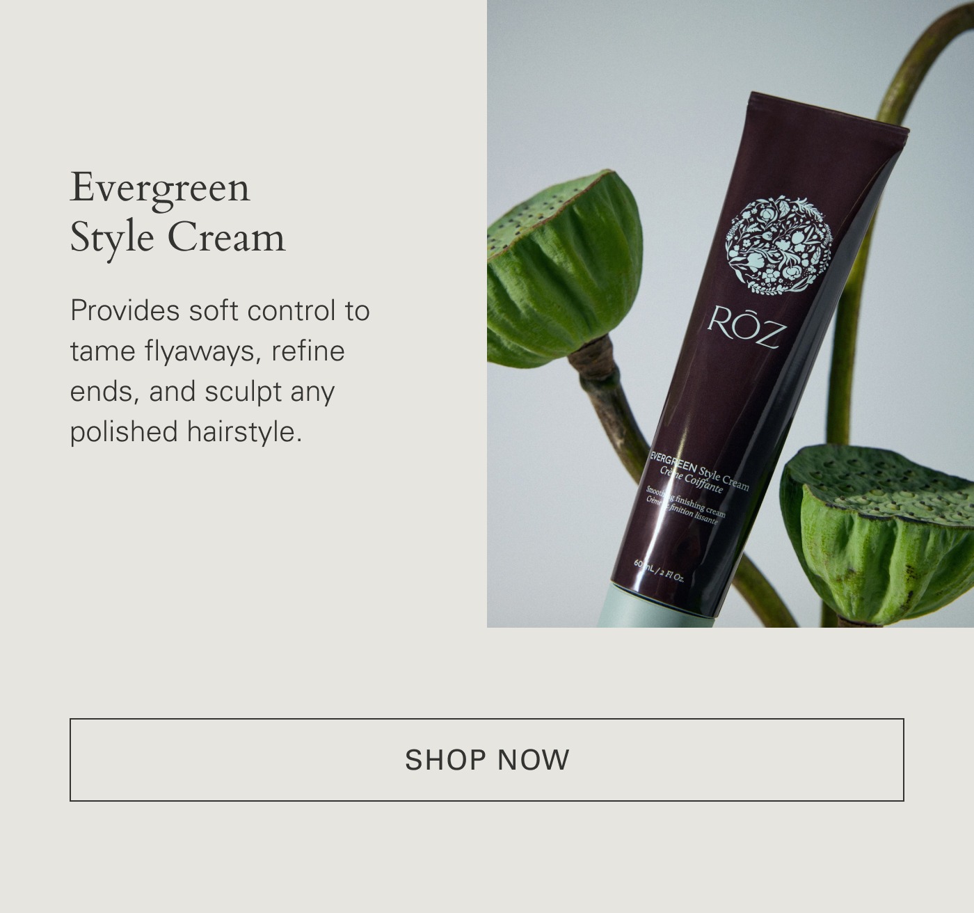 Evergreen Style Cream