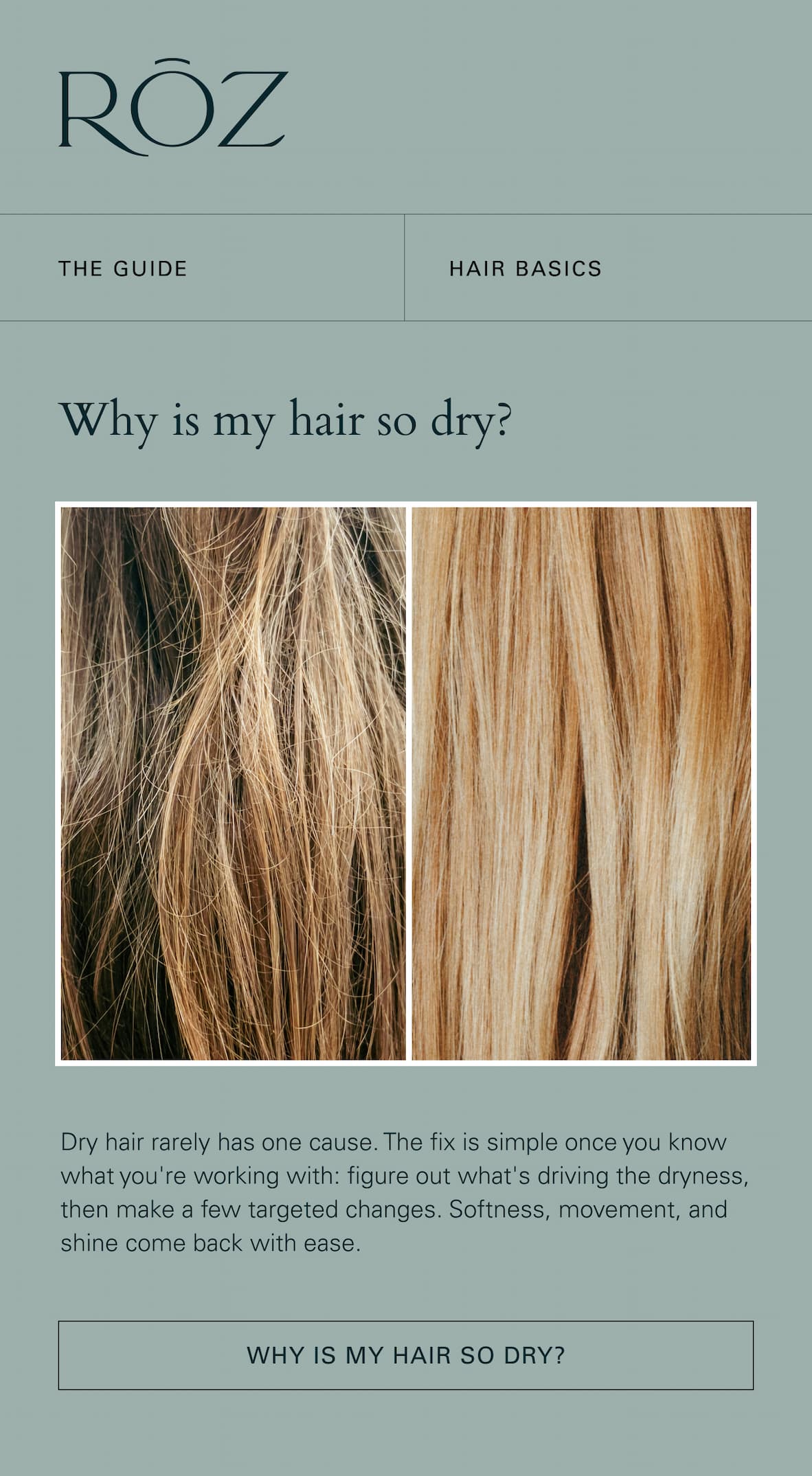 Why is my hair so dry?