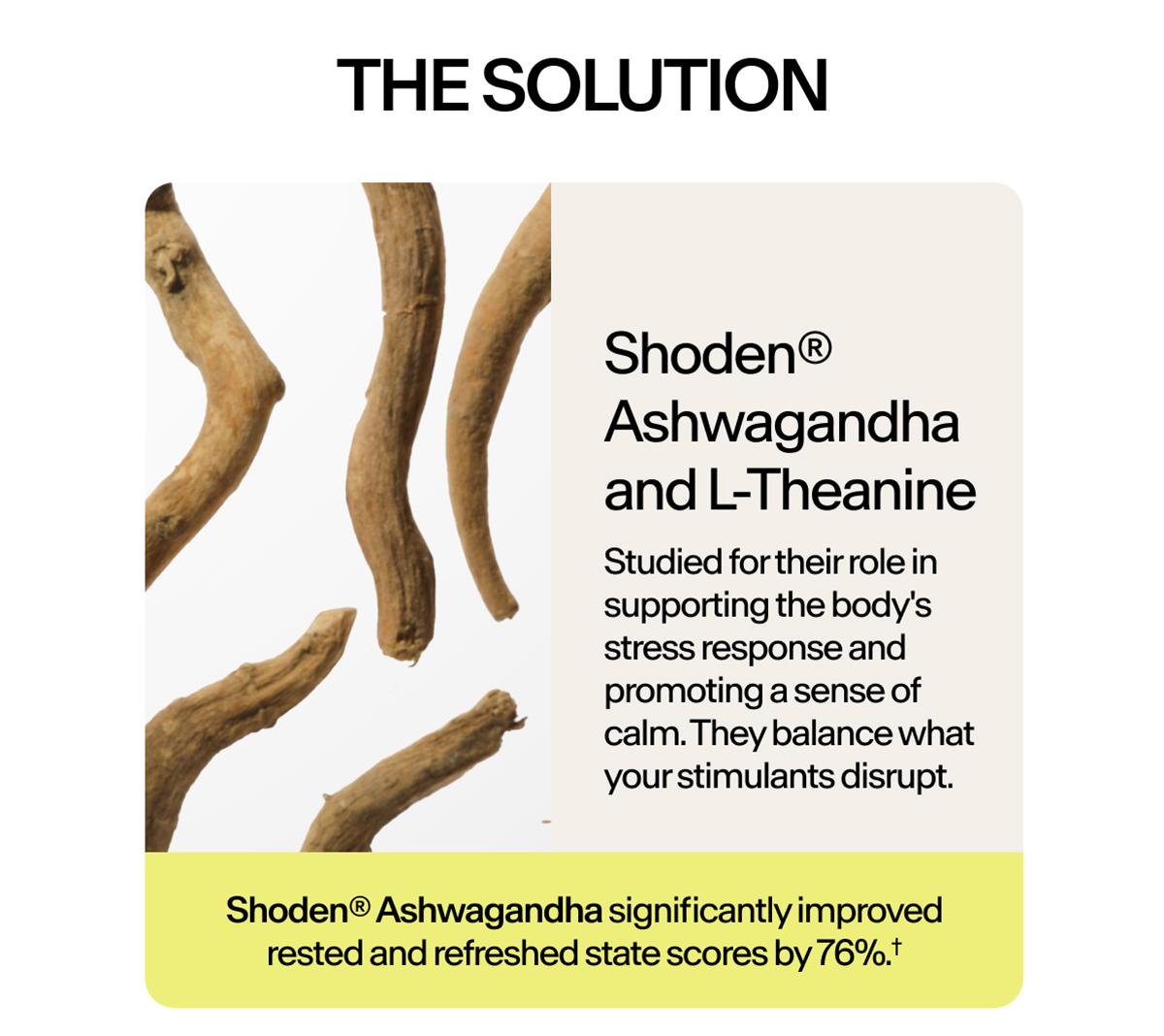 The solution: Stasis contains Ashwagandha and L-Theanine — two adaptogens clinically shown to regulate cortisol without interfering   with your medication’s efficacy. They don’t block your stimulants. They balance what your stimulants disrupt.