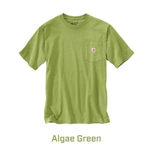 Algae Green K87