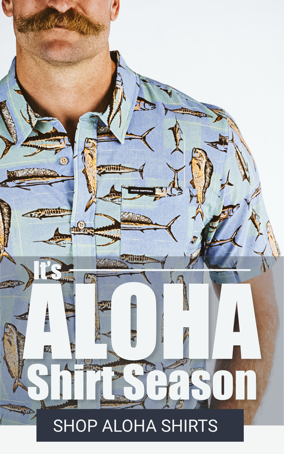 It's Aloha Shirt season! Drew is wearing the new Maui Rippers Aloha Shirt in Blue 